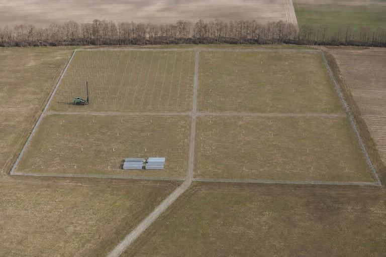 Teren farmy PV przed montażem modułów - pierwszy kadr serii porównawczej, wizualizacja poglądowa
